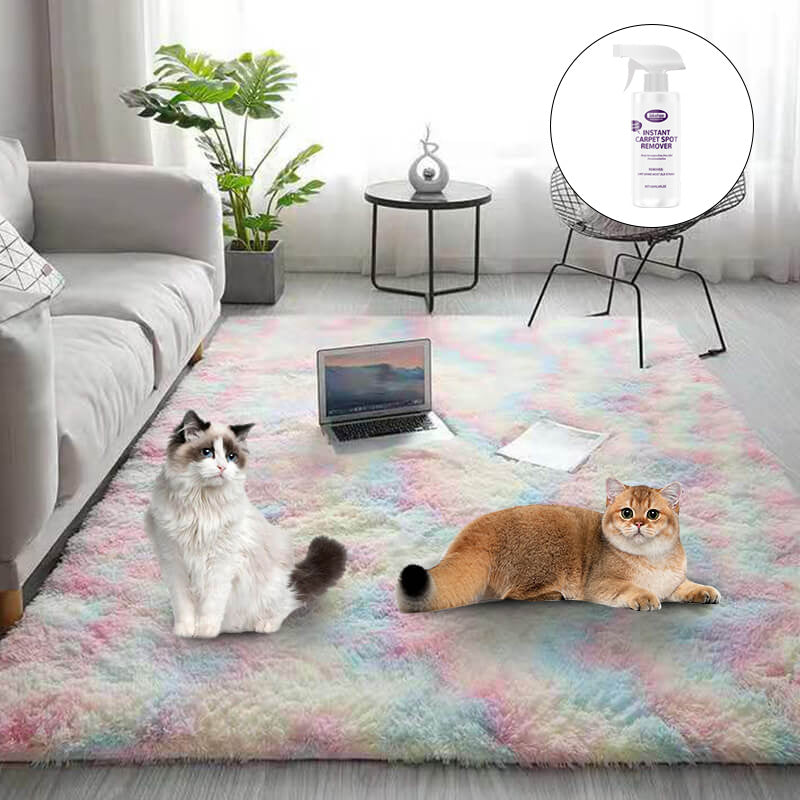 New Year Sale🔥Gradient Color Plush Floor Mat