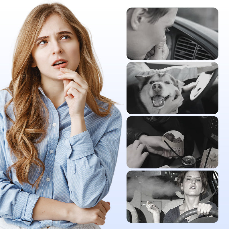 🎉 Limited Launch Offer!🎉 Car Air Freshener Solid Fragrance🌿